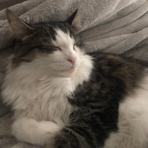 Meet your Posher, Meredith